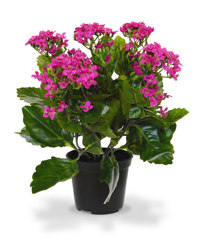 Umelá rastlina Kalanchoe 30 cm v kvetináči - fialová