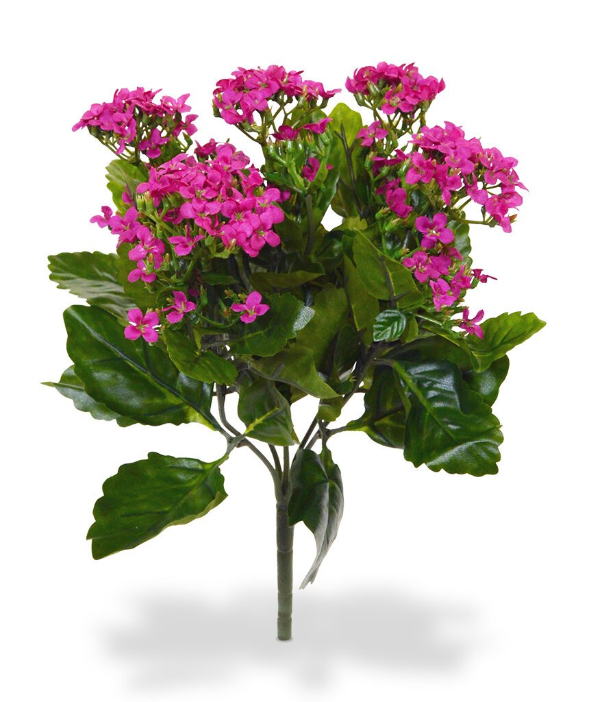 Umelá ružová rastlina Kalanchoe 30 cm