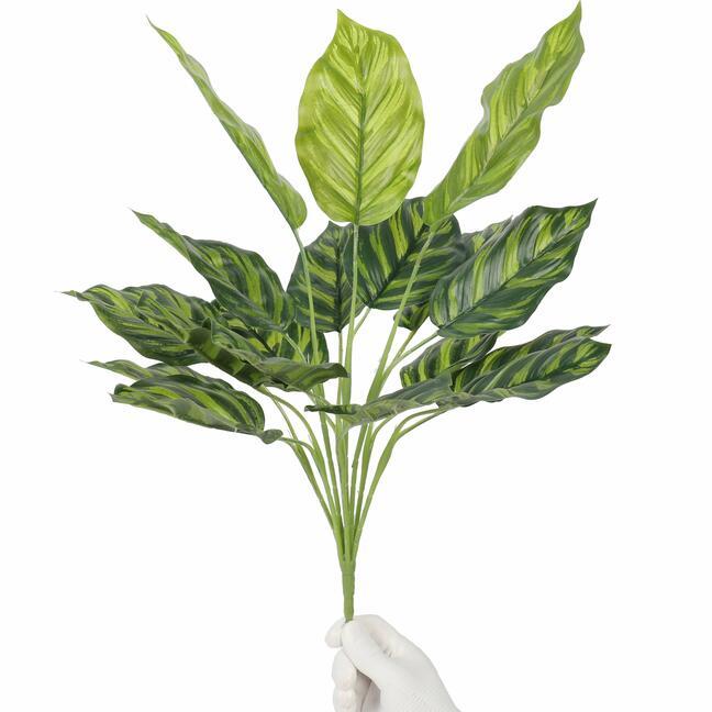 Umelá rastlina Kalatea 50 cm