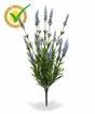 Umelá rastlina Levanduľa modrá 50 cm