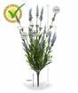 Umelá rastlina Levanduľa modrá 50 cm