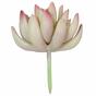 Umelá rastlina Lotus Echeveria 10 cm