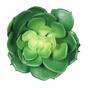 Umelá rastlina lotus Eševéria zelená 15,5 cm