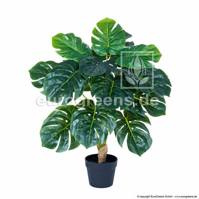 Umelá rastlina Monstera 70 cm