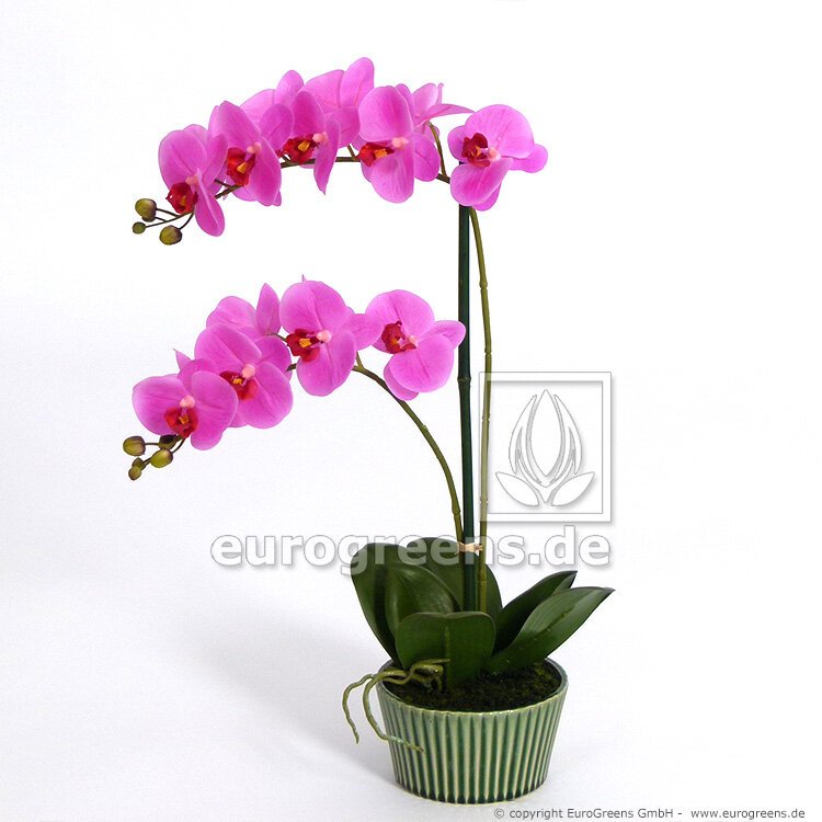Umelá rastlina Orchidea ružová 65 cm