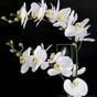 Umelá rastlina Orchidea biela 65 cm