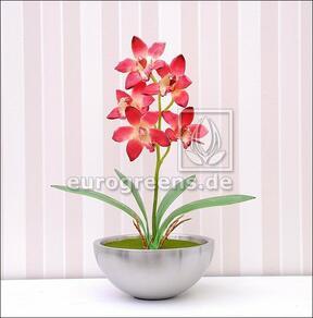 Umelá rastlina Orchidea Cymbidium vínovočervená 50 cm