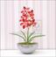 Umelá rastlina Orchidea Cymbidium vínovočervená 50 cm