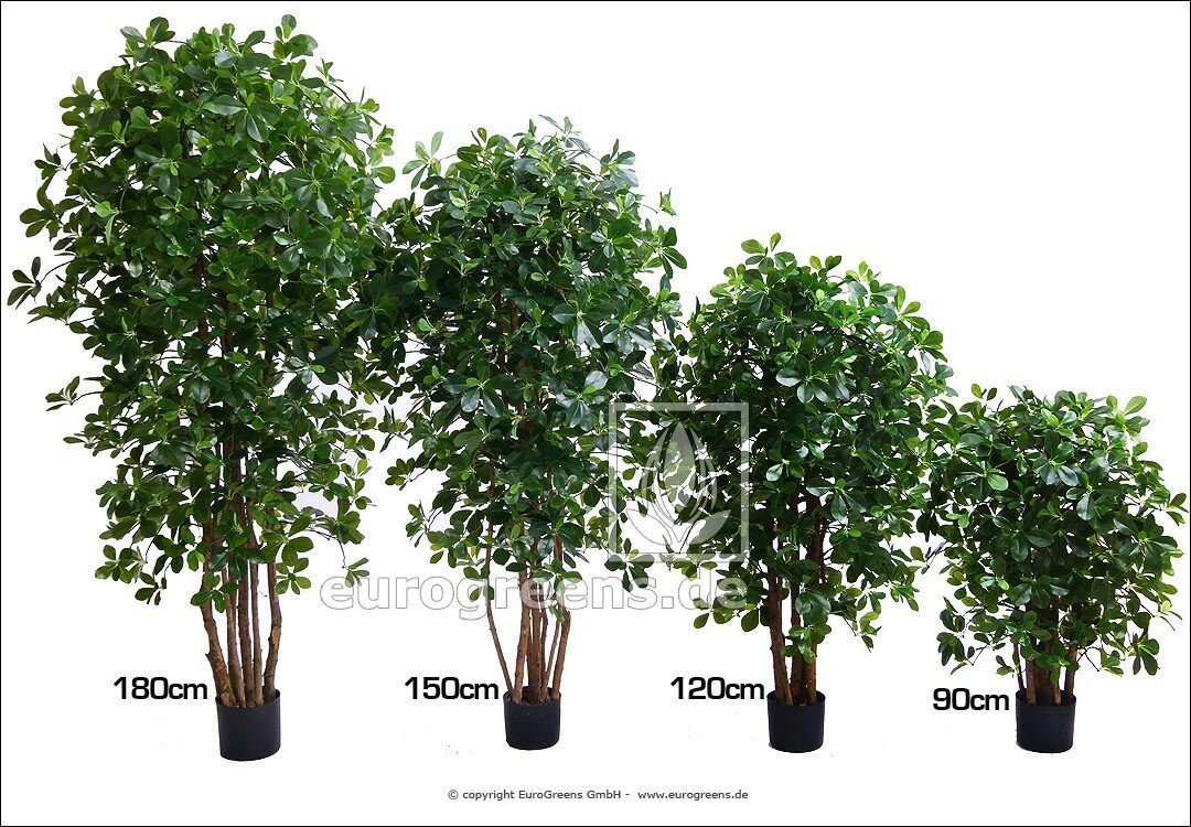 Umelá rastlina orientálny Fikus 130 cm
