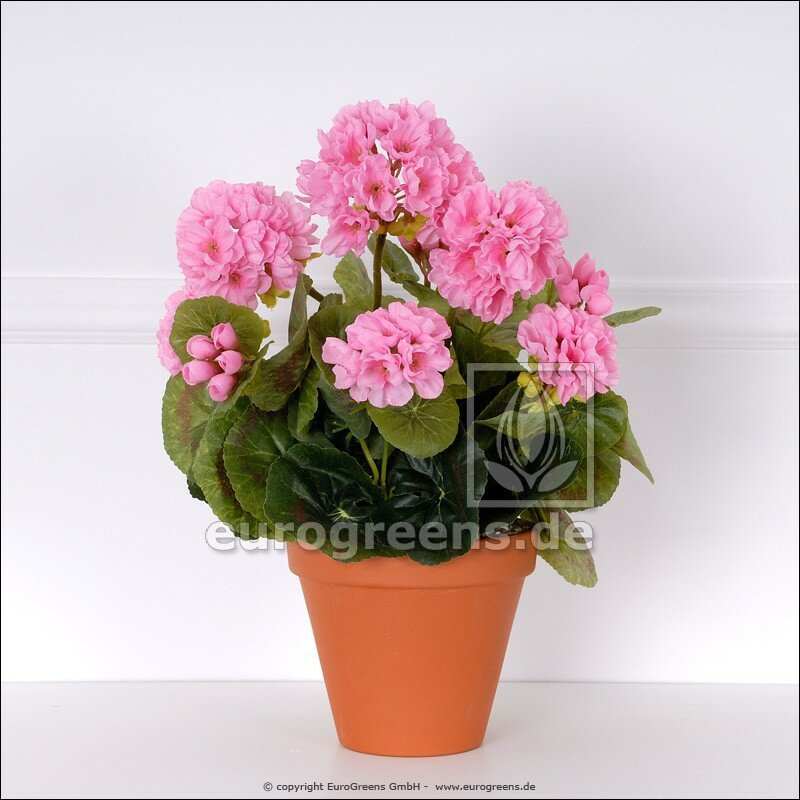 Umelá rastlina Pelargónia ružová 40 cm