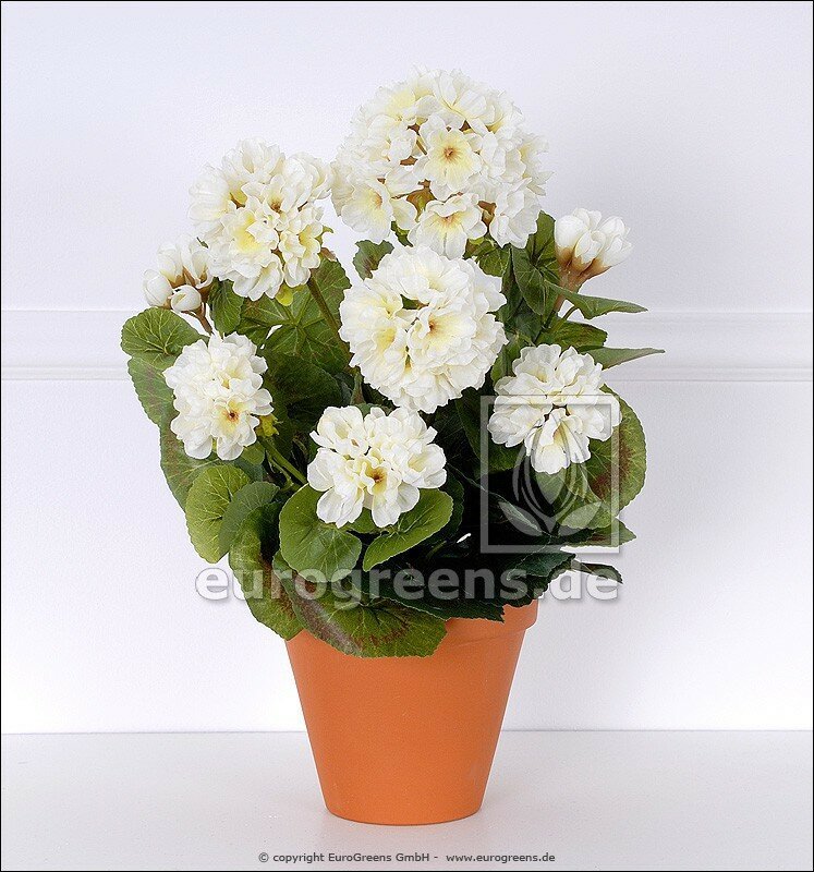 Umelá rastlina Pelargónia biela 40 cm