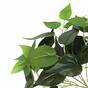 Umelá rastlina Philodendron Cordatum 25 cm