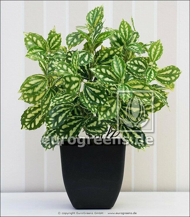 Umelá rastlina Pieprovec 40 cm