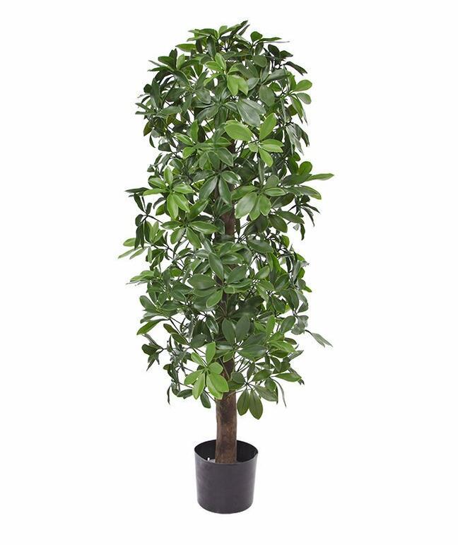 Umelá rastlina Šeflera 120 cm