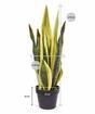 Umelá rastlina Svokrine jazyky žlto-zelená 72 cm