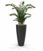 Umelá rastlina Zamiokulkas 120 cm