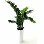 Umelá rastlina Zamiokulkas 65 cm