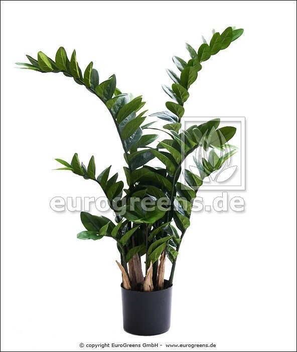 Umel rastlina zamiokulkas 90 cm
