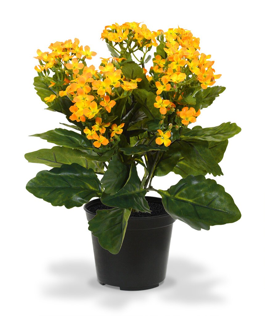 Umelá rastlina Kalanchoe 30 cm oranžová