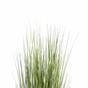 Umelá tráva Ozdobnica čínska svetlozelená 150 cm