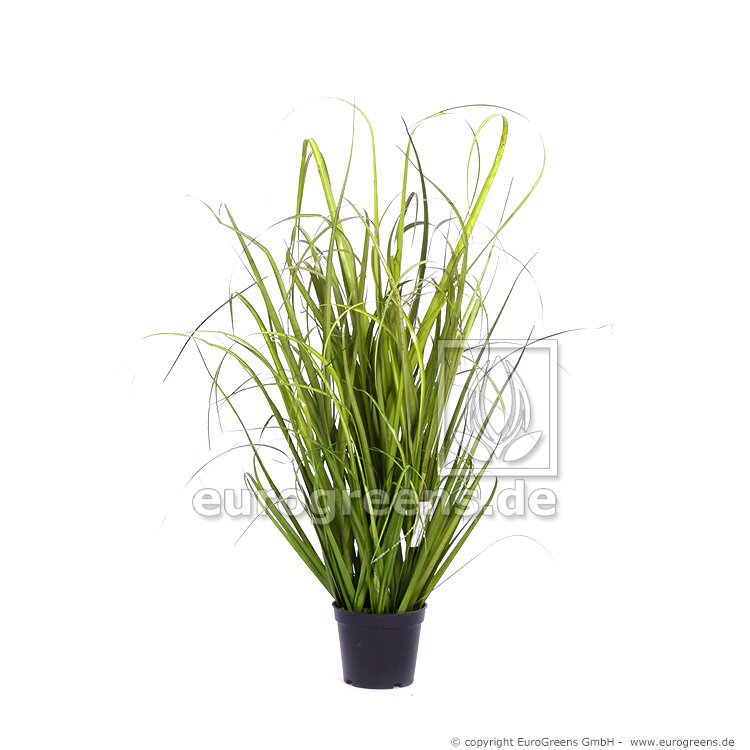 Umelá trstinová tráva 60 cm