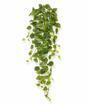 Umelá úponka Filodendron 80 cm
