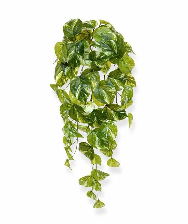 Umelá úponka Potosovec 60 cm