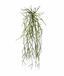 Umelá úponka Rhipsalis micrantha 55 cm
