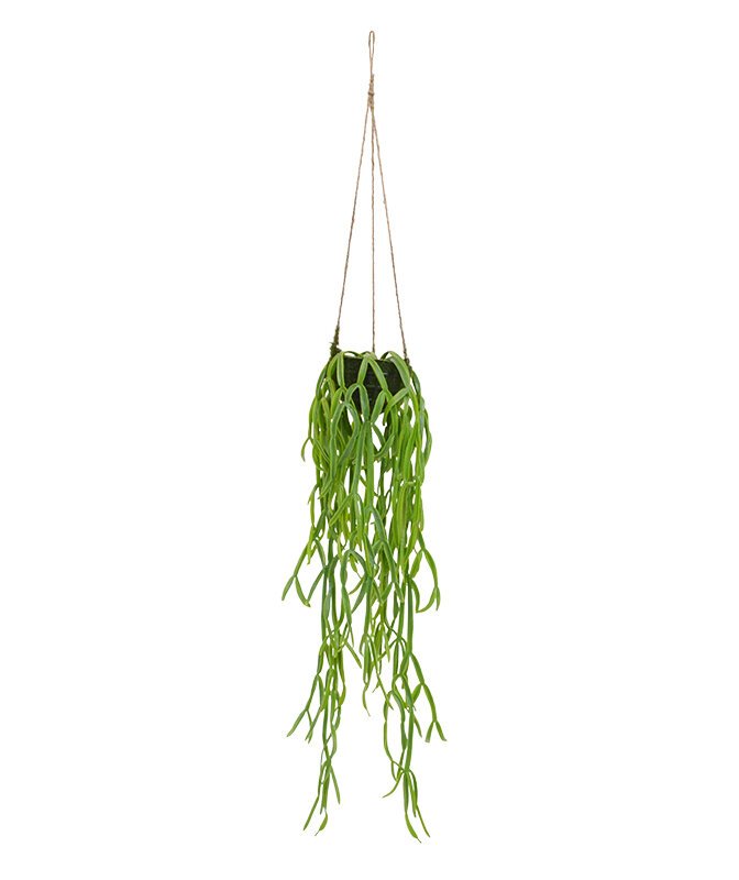 Umelá rastlina Rhipsalis Paradoxa 90 x 20 cm v košíku
