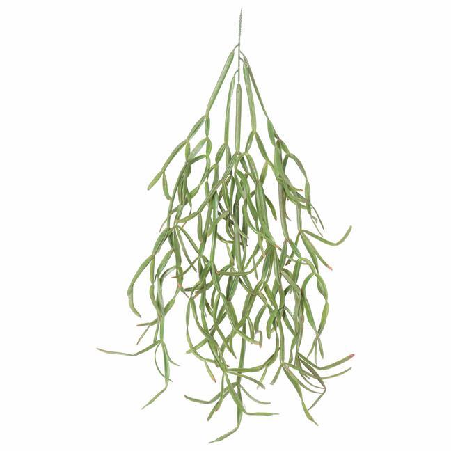 Umelá úponka Rhipsalis paradoxa 86 cm