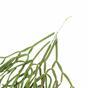 Umelá úponka Rhipsalis paradoxa 86 cm