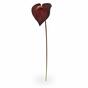 Umelá vetva Antúria burgundy 55 cm