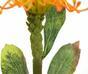 Umelá vetva Leucadendron oranžová 60 cm