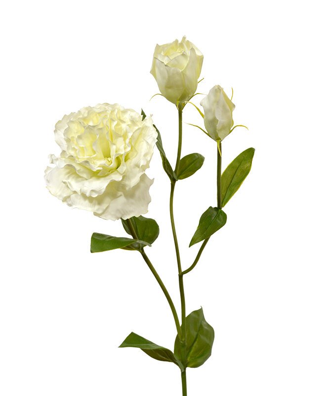 Umelá vetva Lisianthus 80 cm - krémová
