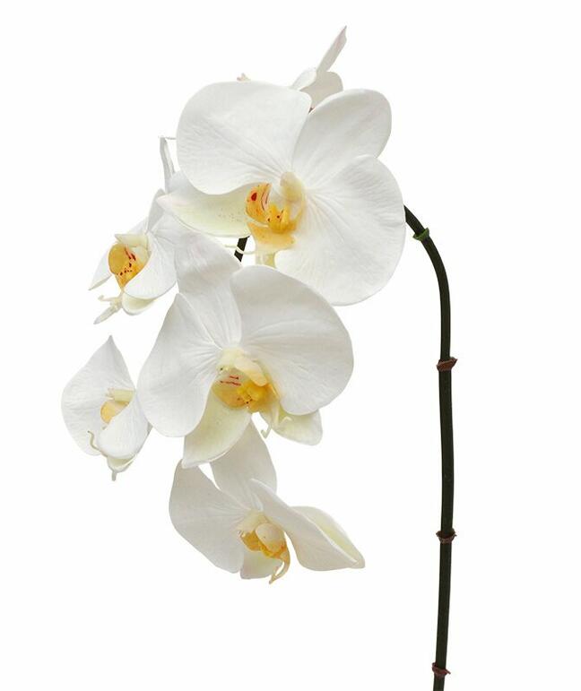 Umelá vetva orchidea biela 55 cm