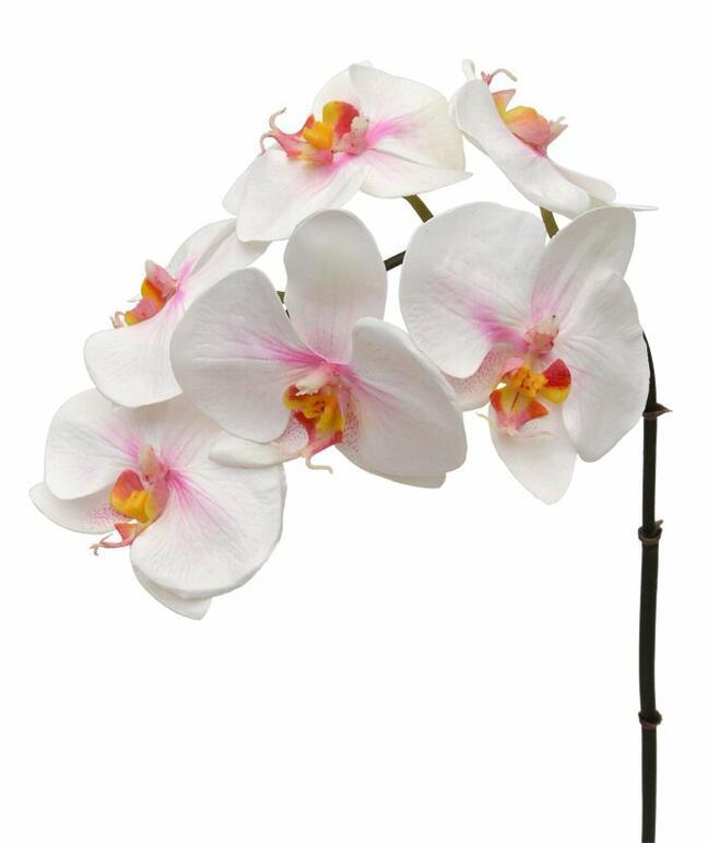 Umelá vetva Orchidea ružovo-biela 55 cm