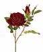 Umelá vetva Ruža burgundy 60 cm