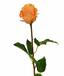 Umelá vetva Ruža oranžová 52 cm