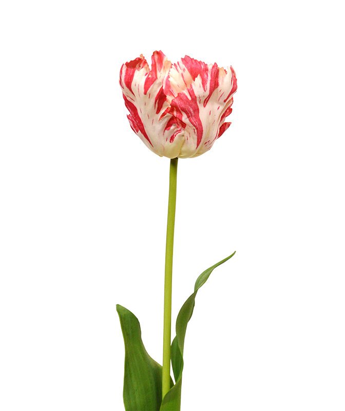 Umelý hodvábny tulipán Gogh 70 cm