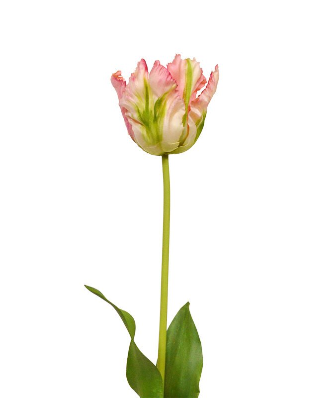 Umelá vetva Tulipán 70 cm - zeleno ružový