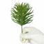 Umelá vetvička Borovica 14 cm