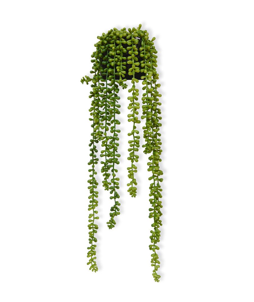 Závesná umelá rastlina Senecio Pearl 55 cm