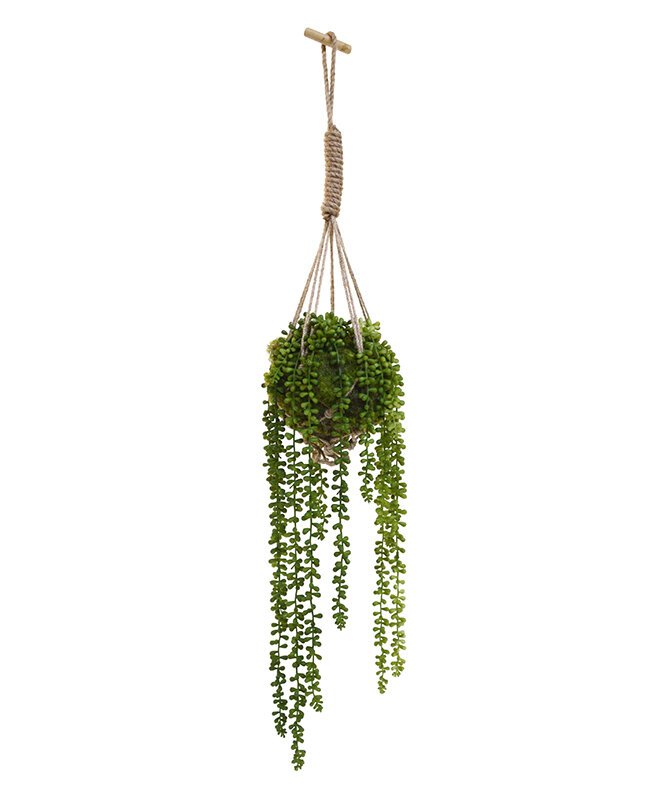 Umelý tropický sukulent Senecio herreianus 3x