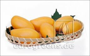 Umelé Mango žlté