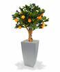 Umelý bonsai Citrónovník pomarančový 65 cm