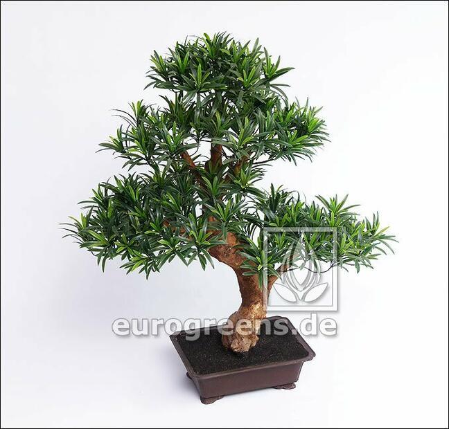 Umelý bonsai Nohovec 80 cm