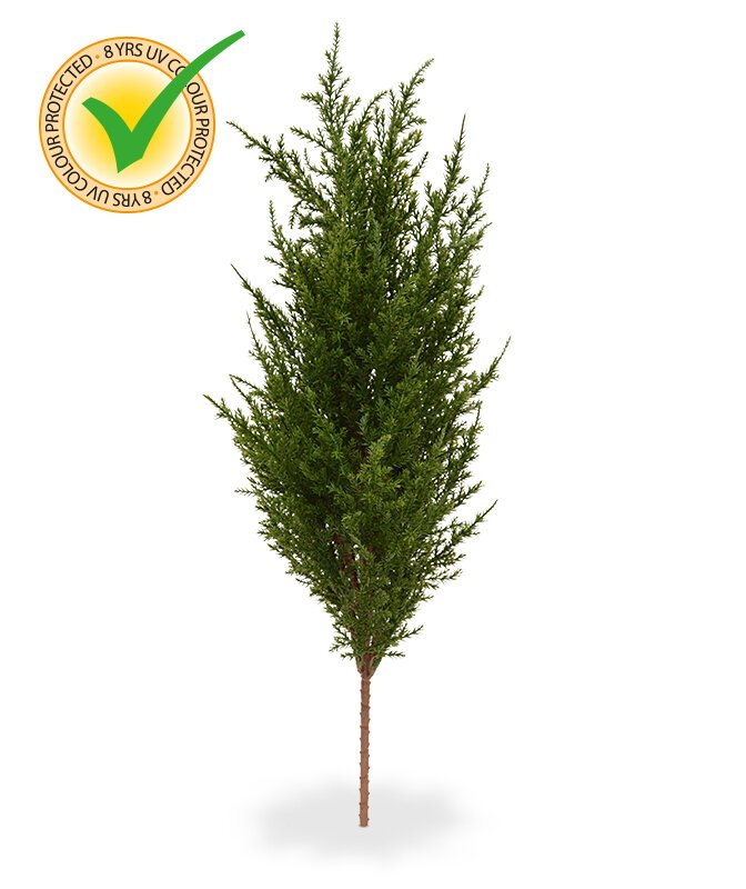 Vysokokvalitný buket Cypress 56 cm