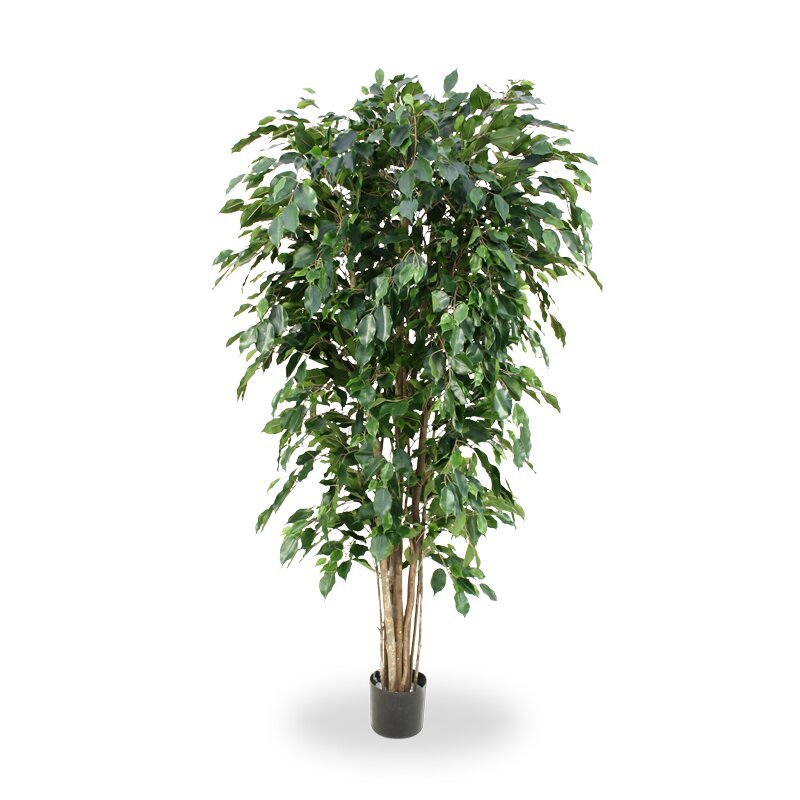 Umelý strom Ficus Exotica Deluxe 180 cm - zelený