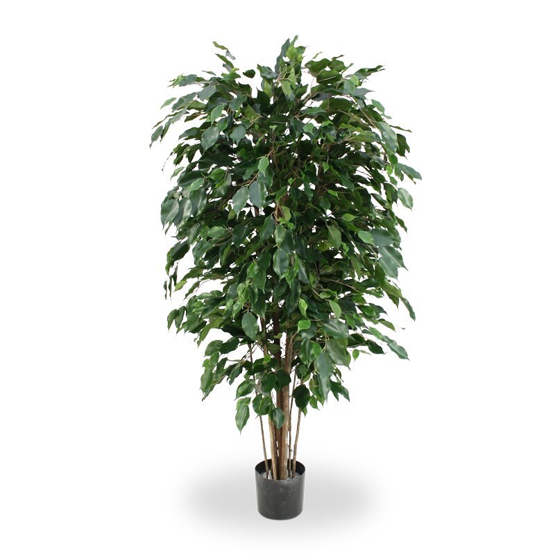 Umelý Ficus Exotica 150 cm