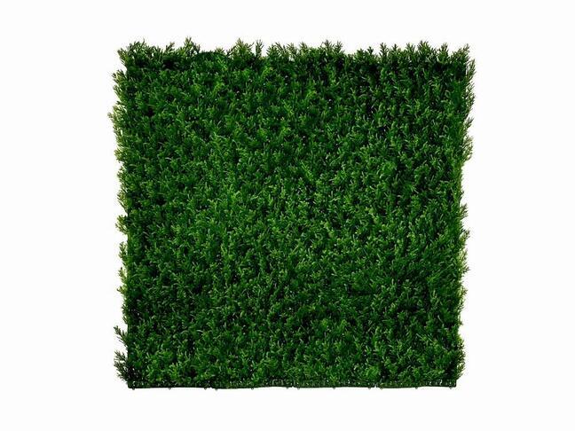 Umelý ihličnatý panel Cypruštek tujovitý - 50x50 cm